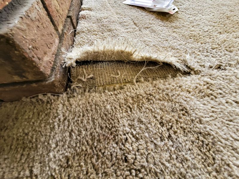 Carpet Repair Service in Alpharetta, GA