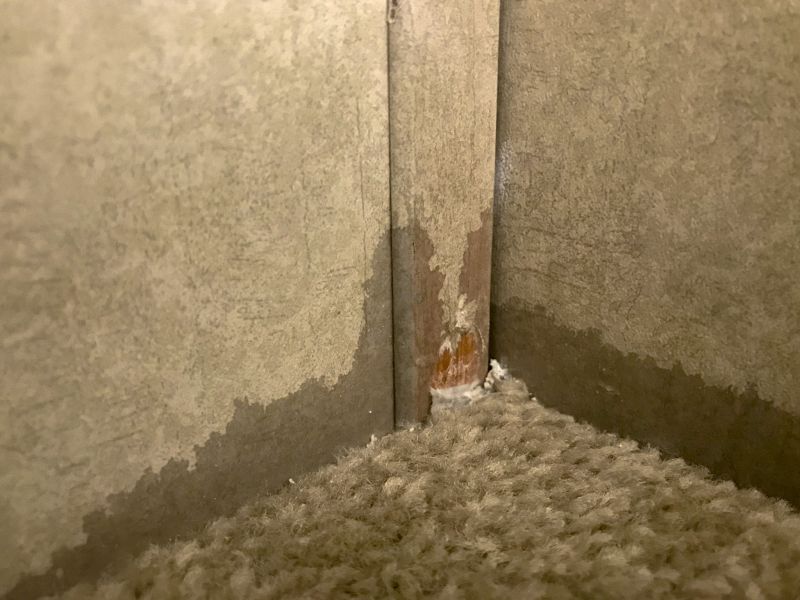 Doorway Carpet Repair in Alpharetta, GA